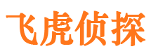 凌云市私家侦探